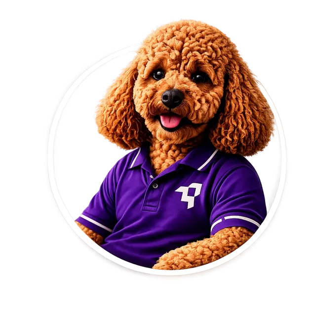 MyRepublic Digital mascot poodle in a purple brand polo