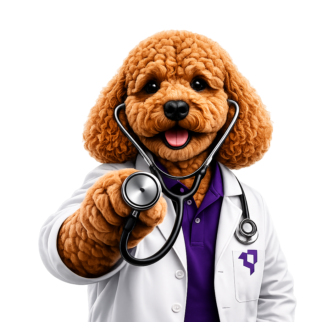 MyRepublic Digital doctor mascot ready to diagnose your website